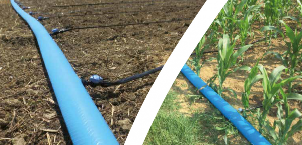 Preview: Flachschlauch 51 mm 6 bar 100 m/Rolle, Flat 51 mm, 100m /Rolle, hochwertig und langlebig Typ: Flachschlauch Flat